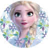 FROZEN